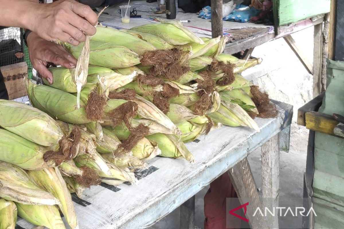 Jelang malam pergantian tahun, harga jagung manis mengalami kenaikan