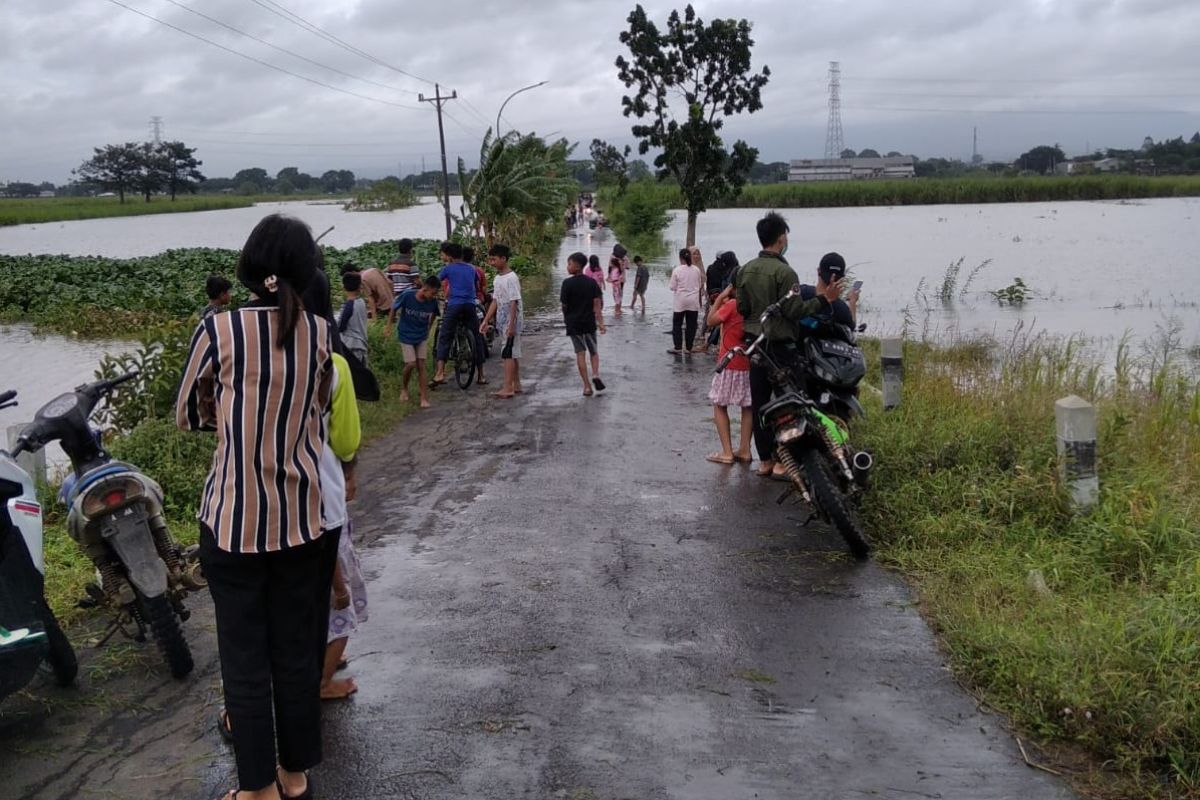 Banjir Pantura Jateng, tiga desa di Kabupaten Kudus terdampak