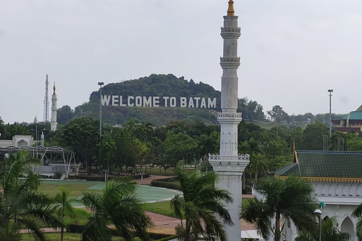 Kelistrikan Batam-Bintan alami gangguan, sebagian wilayah padam