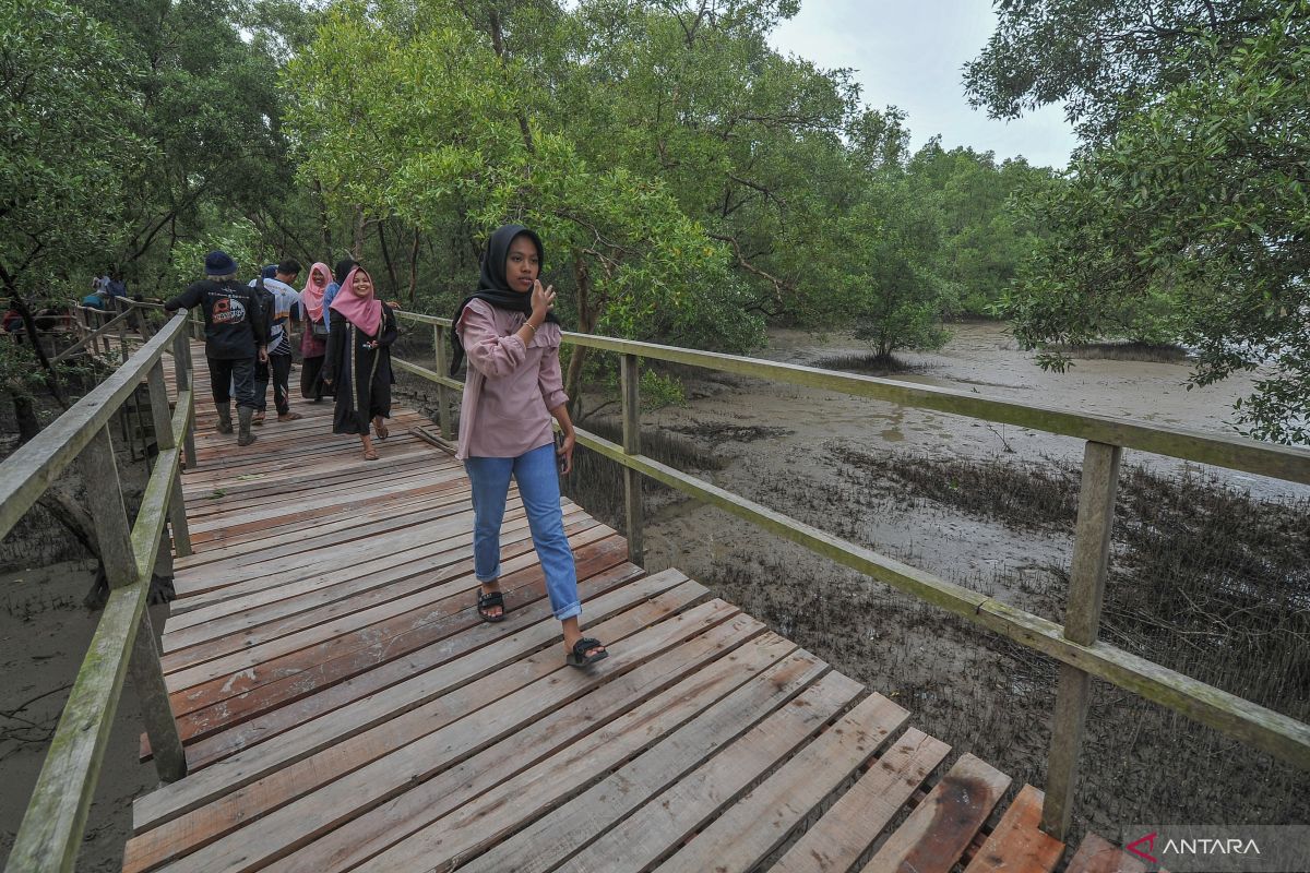 Kawasan konservasi jaga ekosistem Sungai Manding di Rohul