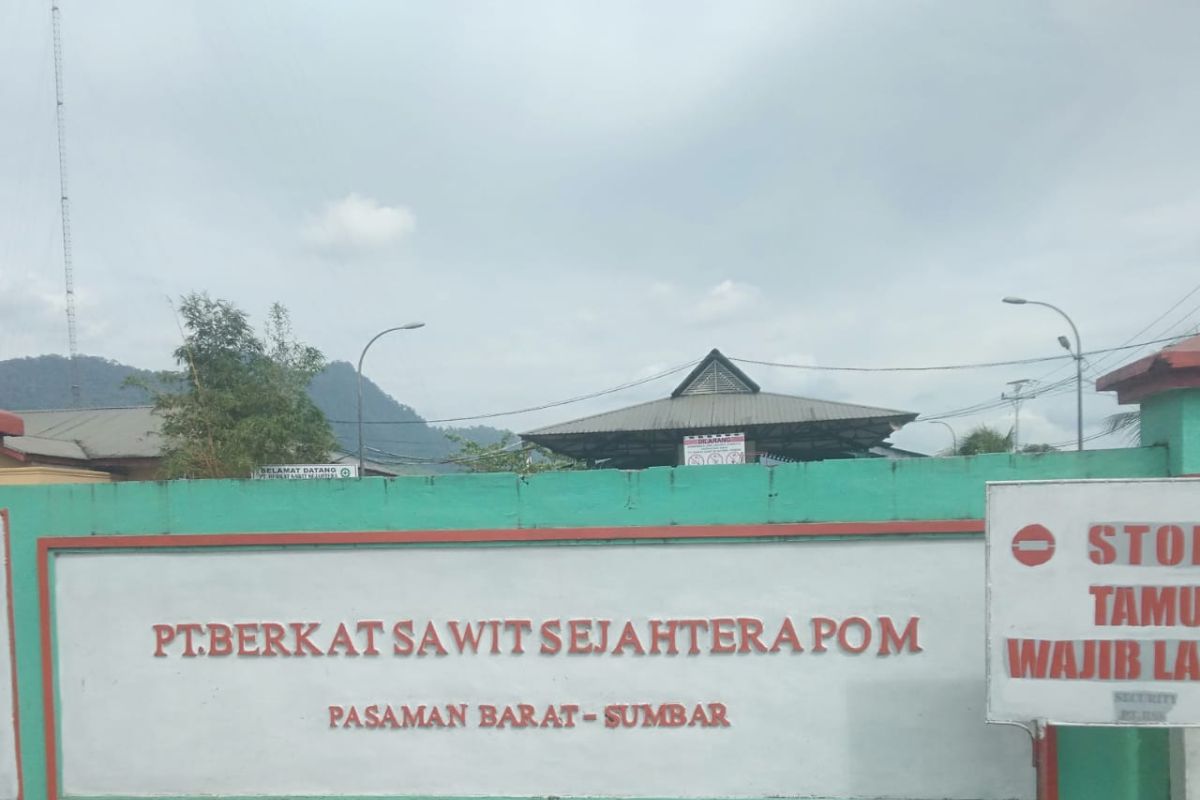 Ini alasan kenapa izin delapan pabrik kelapa sawit di Pasaman Barat terancam dicabut