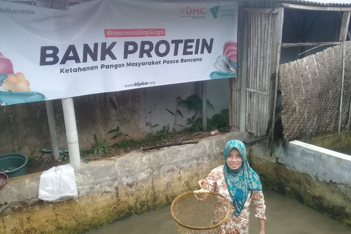 Dompet Dhuafa Jawa Barat gulirkan program budi daya ikan
