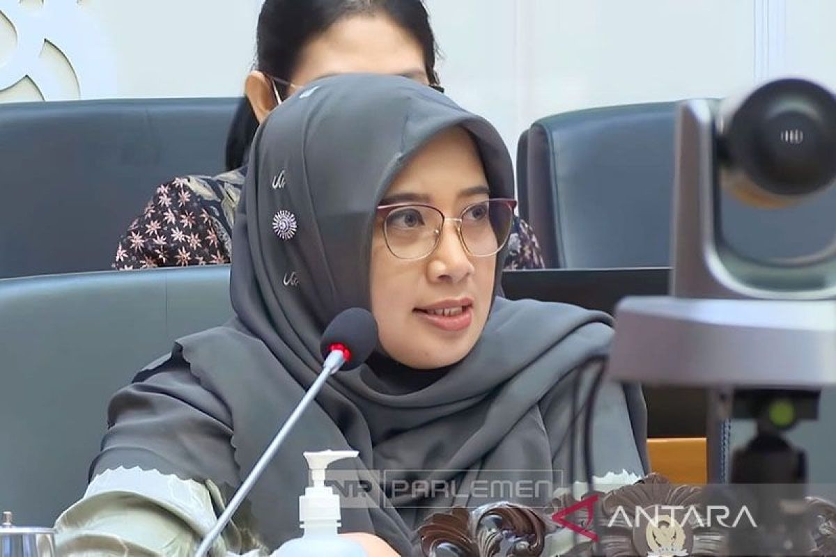 Anggota DPR desak pemerintah dan penegak hukum implementasikan UU perlindungan anak