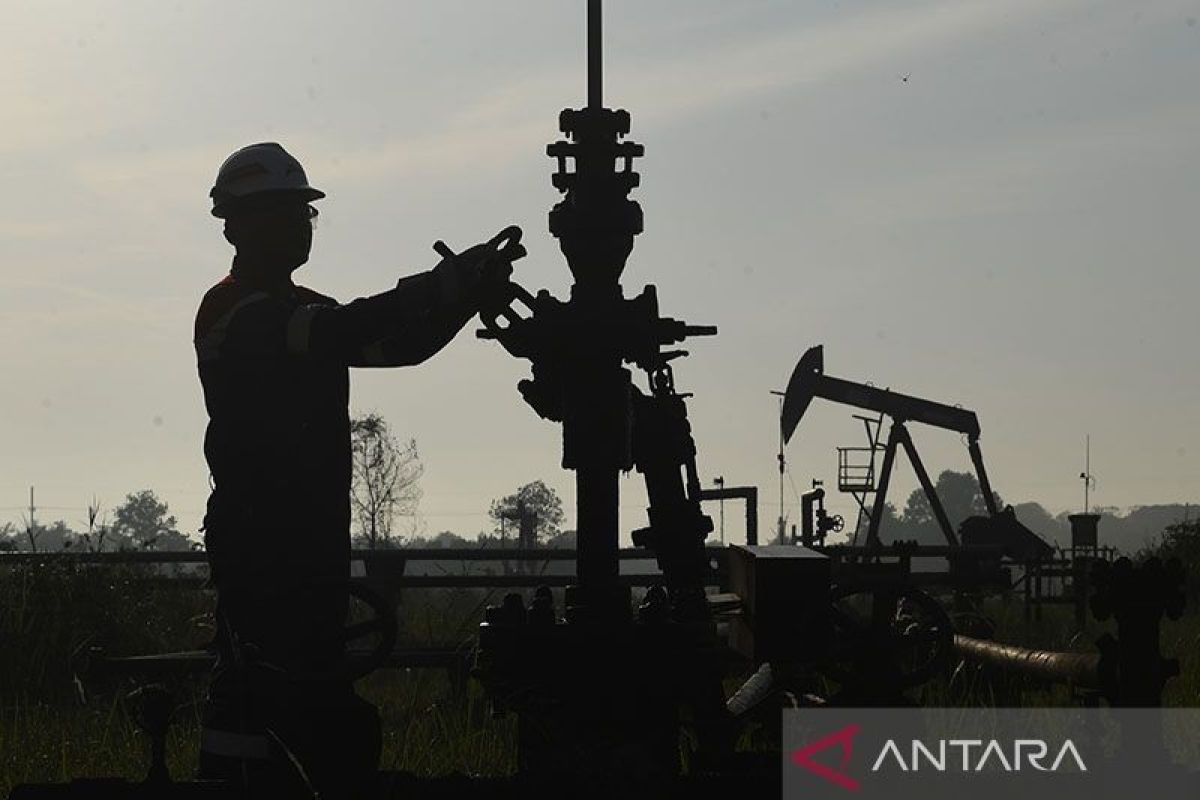 Tahun ini target dividen Riau Petroleum capai Rp450 miliar