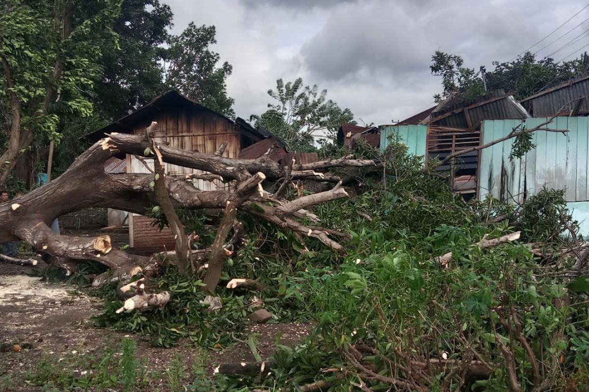 BPBD NTT sebut 396 rumah rusak akibat bencana