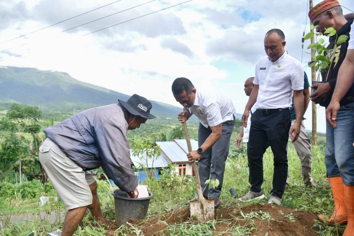 Pemkab Manggarai tanam 2.000 pohon di kawasan lahan kritis