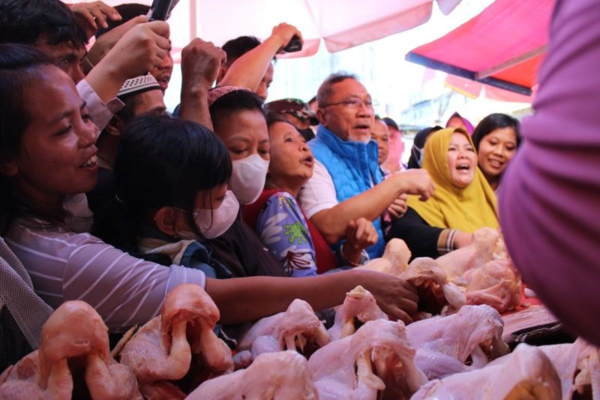 Mendag Zulkifli Hasan sebut harga cabai naik dan pangan lainnya stabil