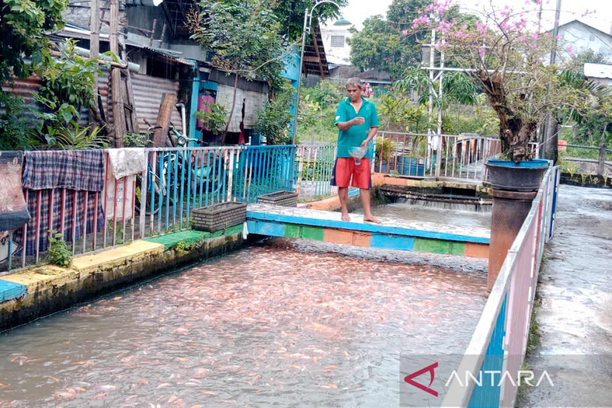 DKP DIY meminta masyarakat tidak menebar ikan invasif di sungai