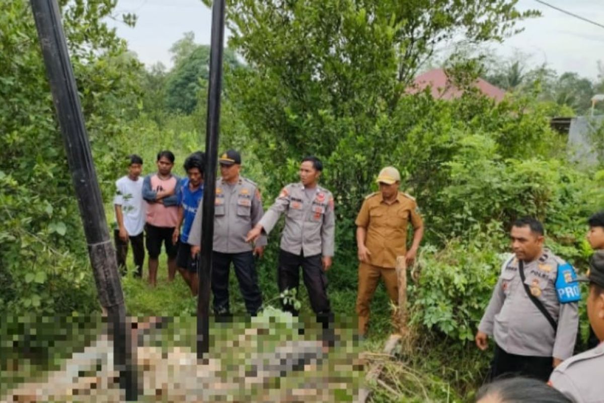 Polisi sebut 2 pekerja proyek Telkom di Konawe tewas tersengat listrik