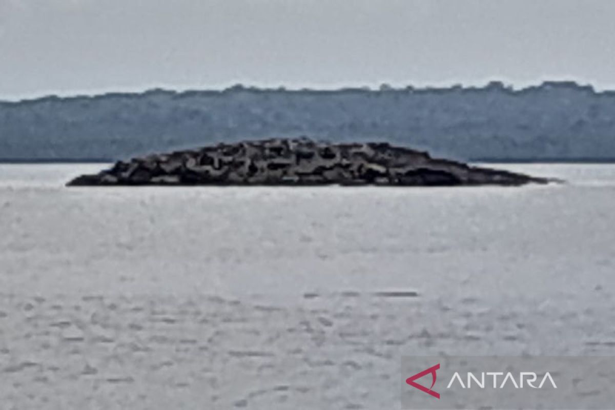 Fenomena pulau muncul di permukaan setelah gempa di Maluku