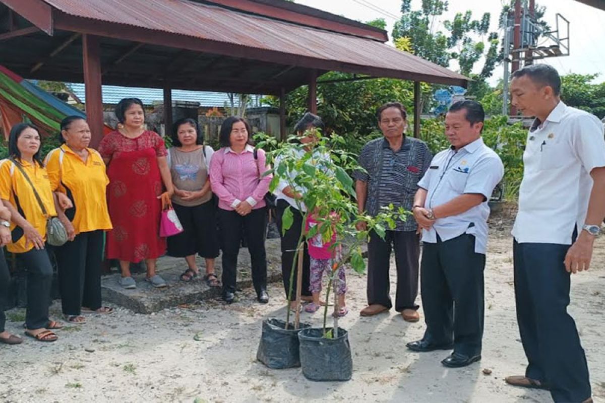 Pemkab Gumas tekan inflasi dengan membagikan tanaman lombok