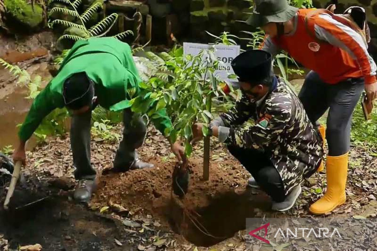 Gerakan konservasi di Temanggung targetkan tanam 120.000  bibit