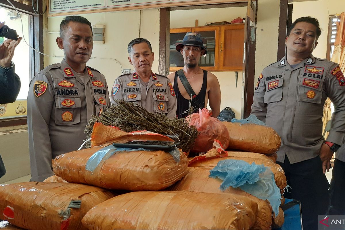 Pemkab Padang Pariaman perkuat pengawasan di sekolah pasca penemuan ganja