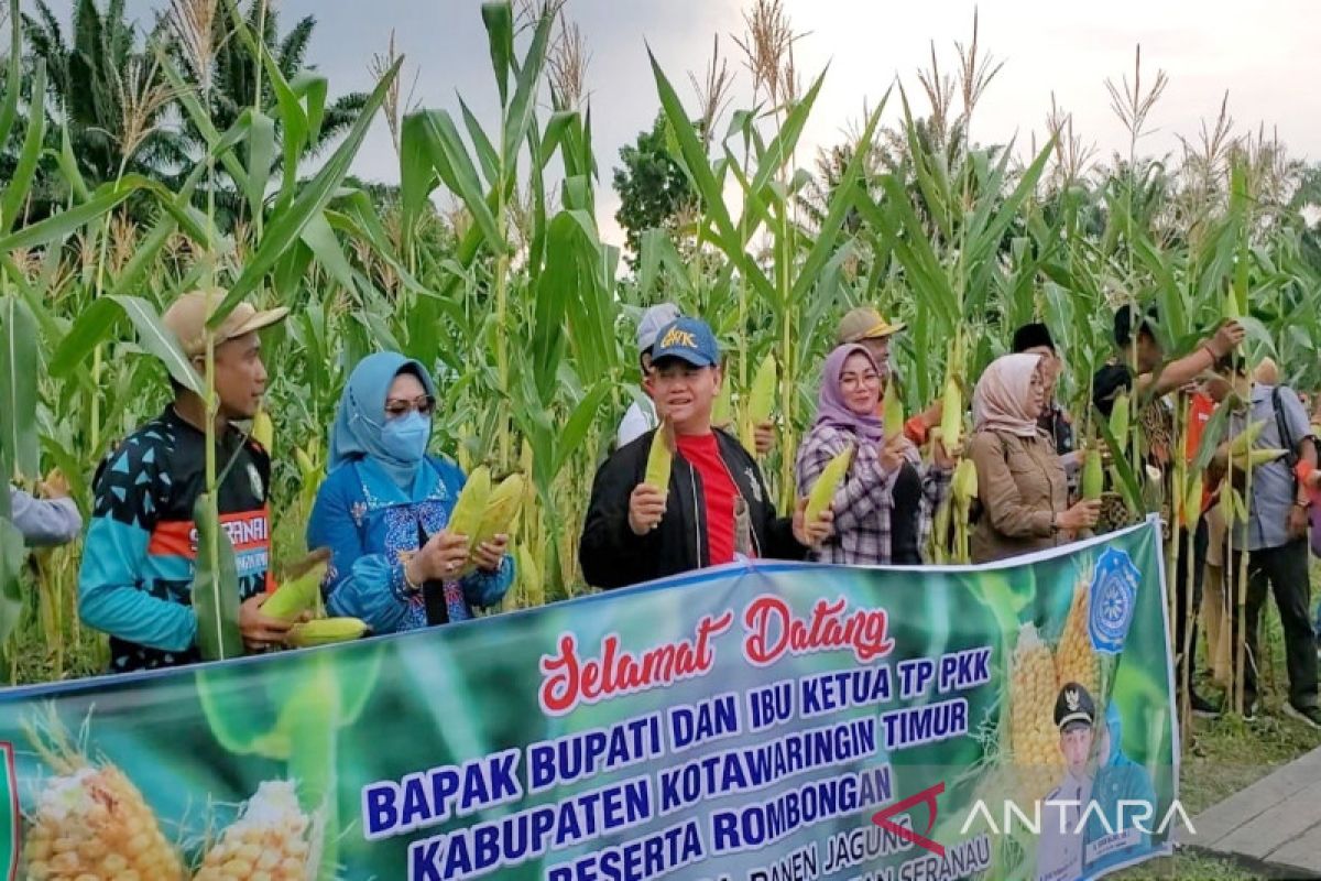 Bupati Kotim dorong pemanfaatan lahan kosong mengantisipasi dampak resesi