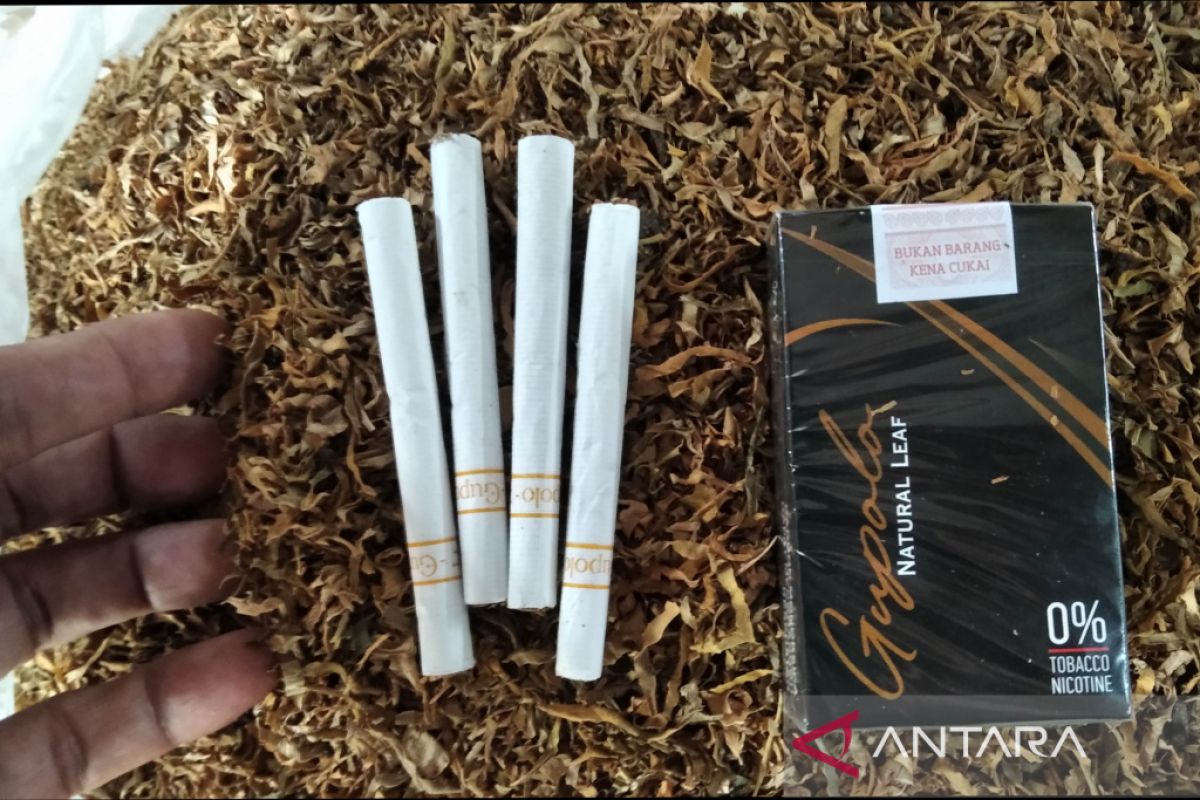 Warga Kudus ciptakan rokok berbahan baku daun  talas