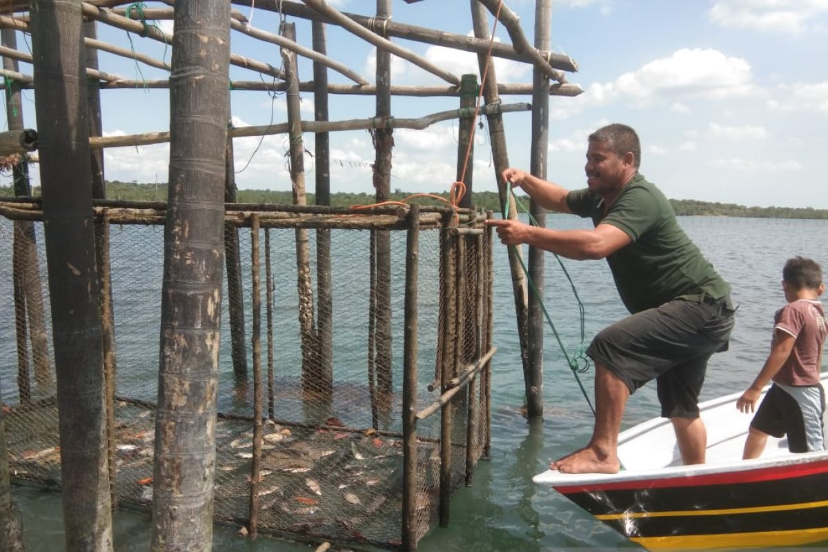 Nelayan Batam turunkan kelong jelang Imlek jaring ikan dingkis