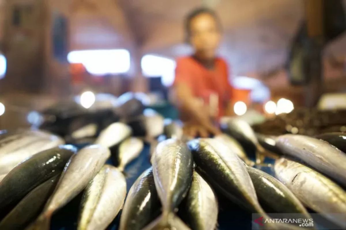 Kumpulan ide olahan ikan berempah yang bisa optimalkan kesehatan saat puasa