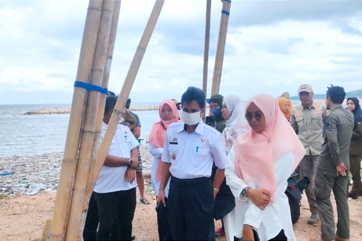 Pemkab Kepulauan Selayar respons fenomena warna air laut berubah hijau