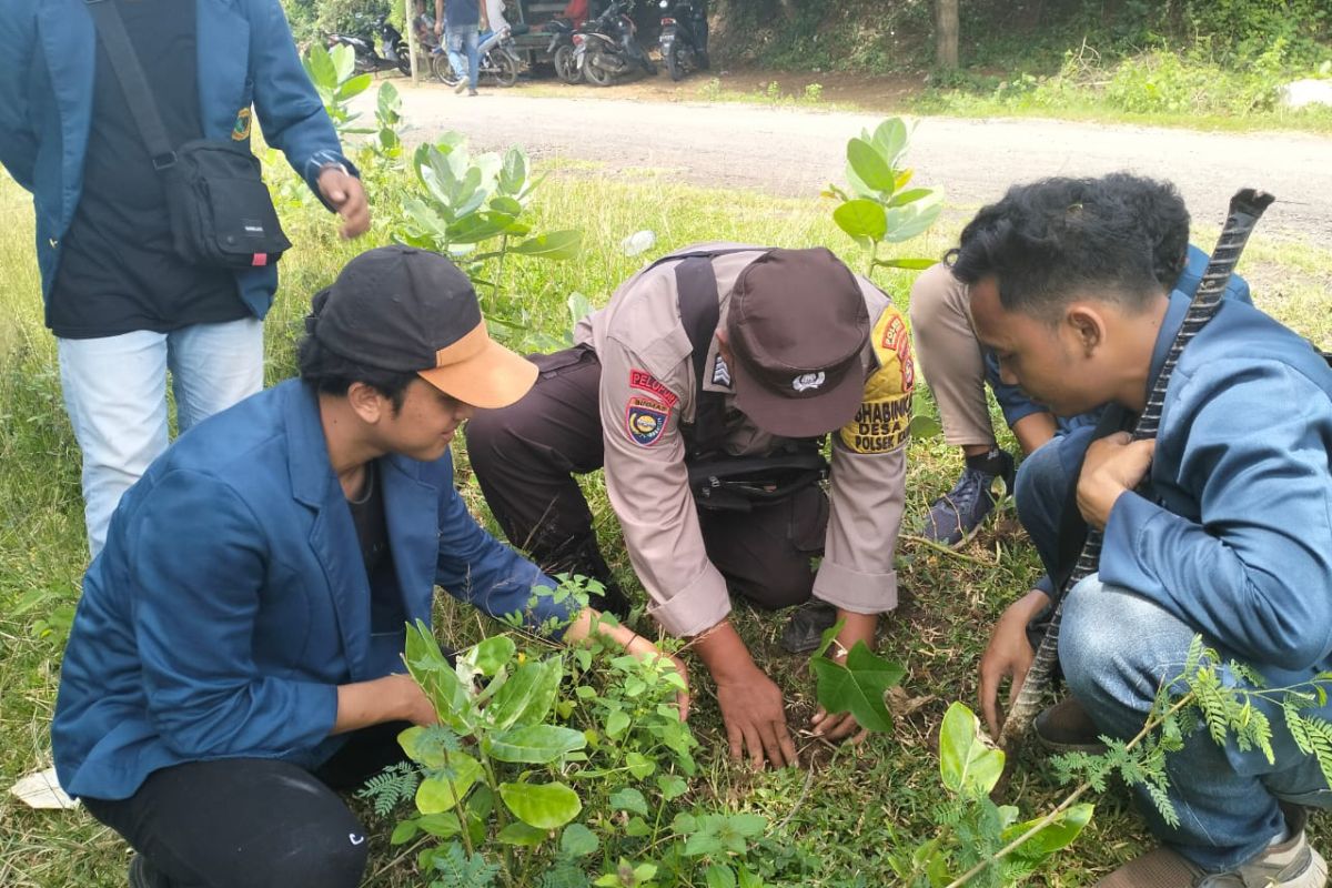 Jalan ke wisata Pantai Mawun Lombok Tengah dihijaukan