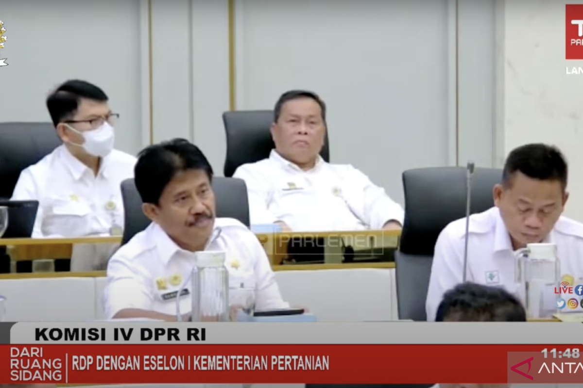 Kementan menemukan perusahaan sarang walet kelabui Badan Karantina