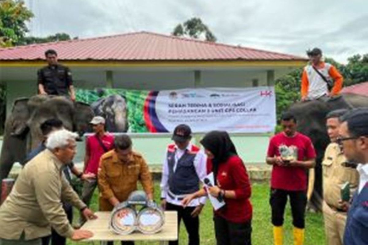 PT Hutama Karya-BBKSDA-RSF pasang GPS Collar antisipasi konflik gajah