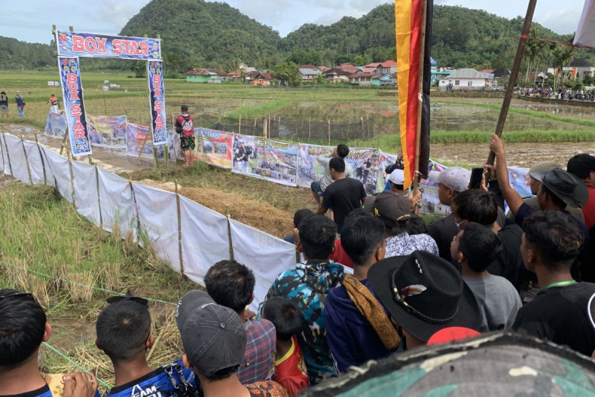 Olahraga buru babi budaya Sumbar yang gerakkan ekonomi