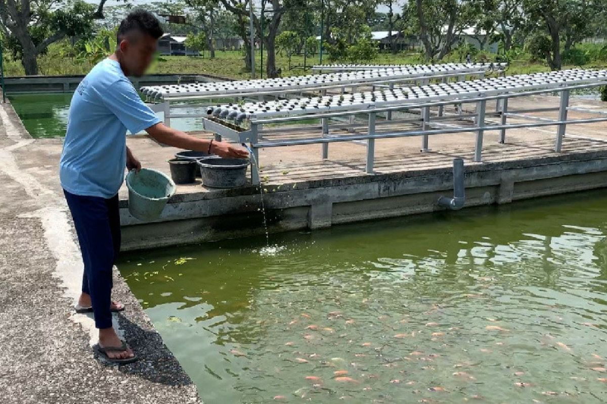 Yuspahruddin dorong Lapas Terbuka Kendal produksi pelet organik