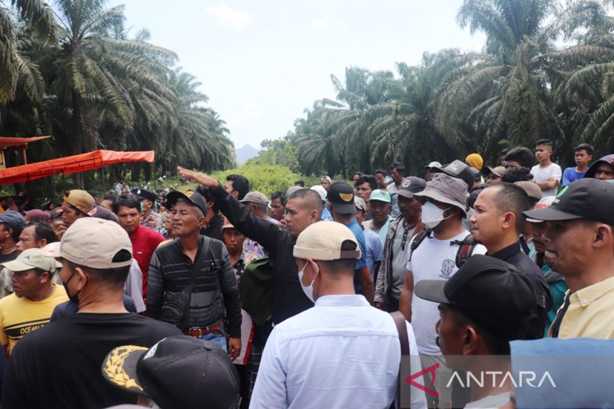 Putusan pengadilan: Bakrie Pasaman Plantation serahkan kebun plasma 300 hektare