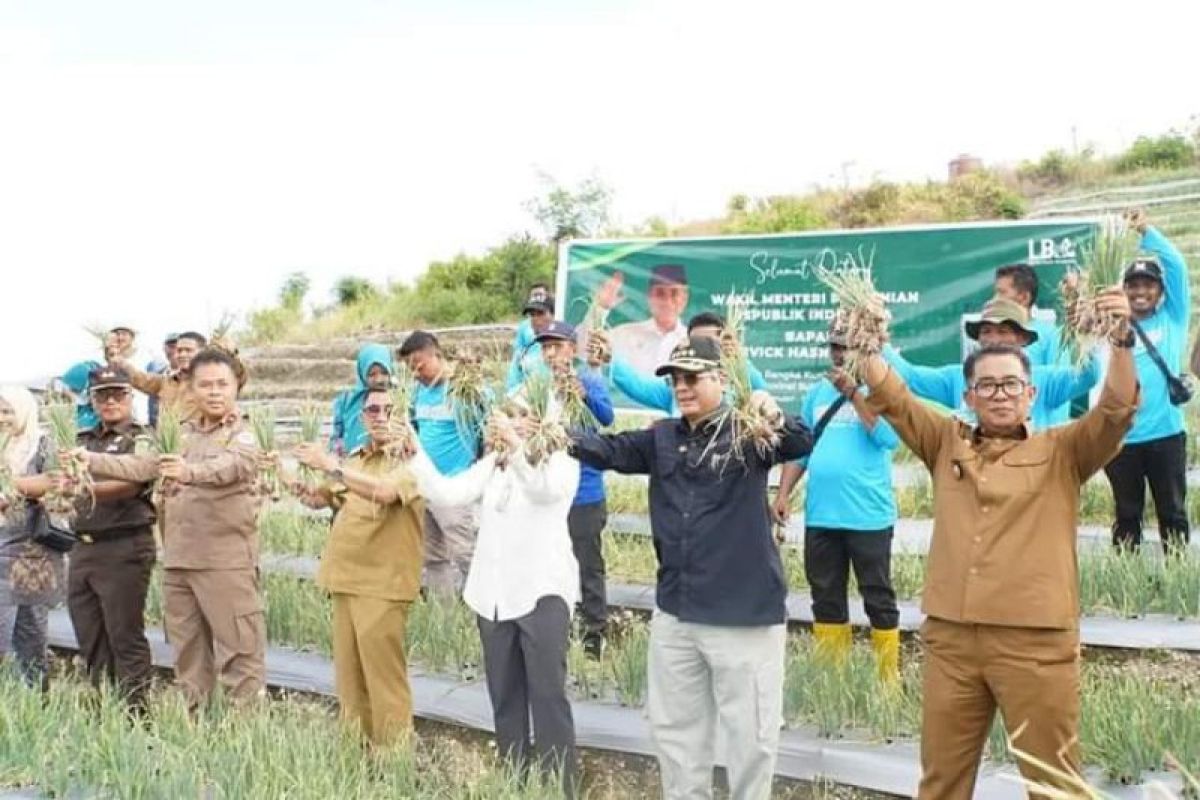 Sulbar dapat bantuan bibit padi dari Kementan