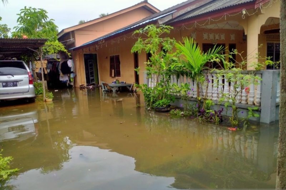 BPBD minta warga Kepri waspadai ular saat pasang air laut naik