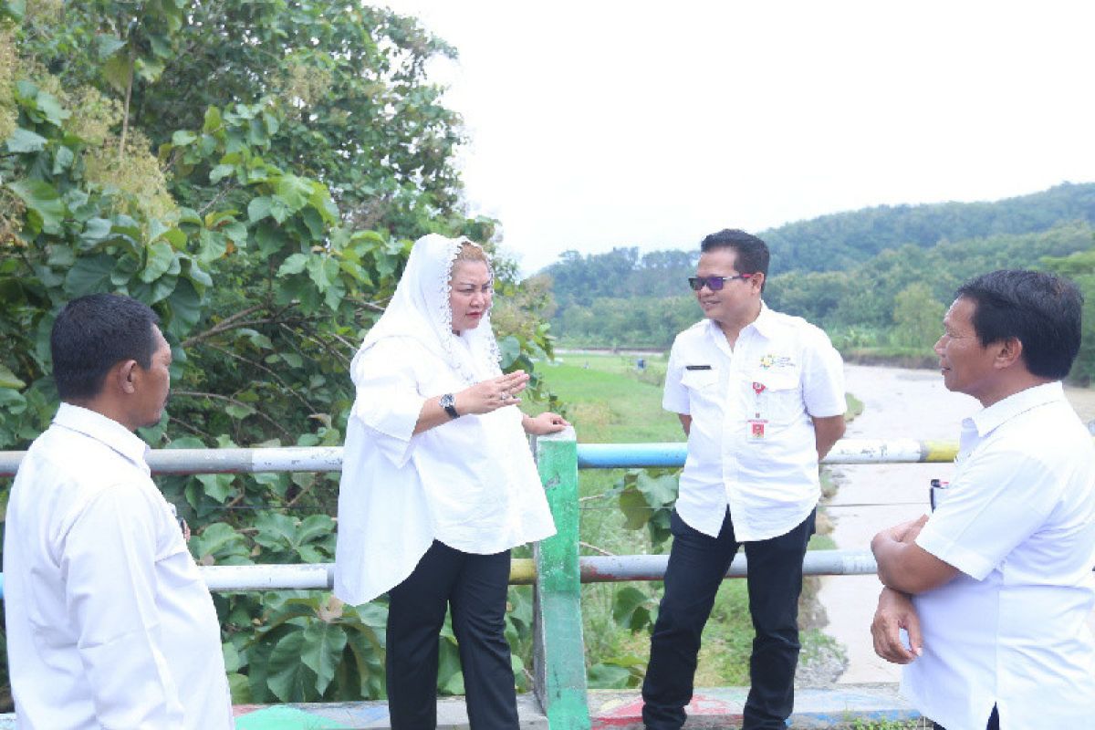 Banjir Dinar Indah, Ita minta ada penghijauan di Sungai Mluweh