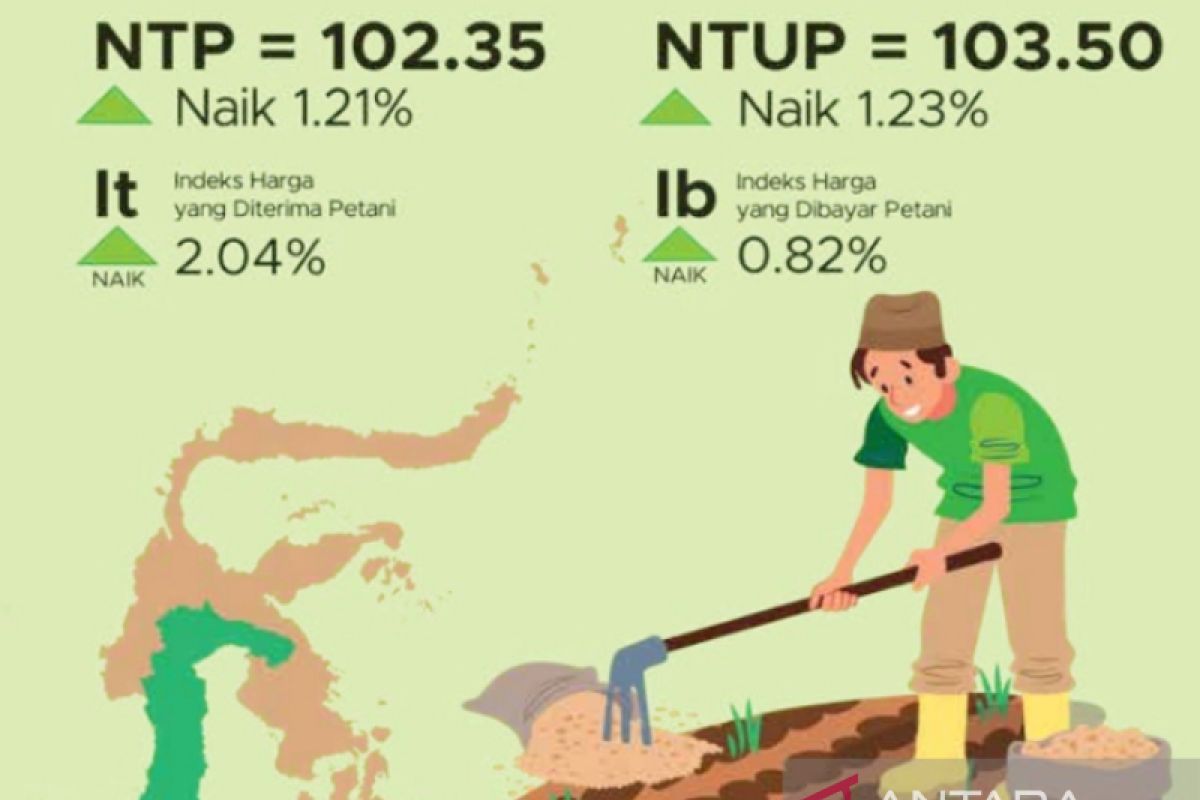 BPS: Nilai tukar petani di Sulsel naik 1,21 persen pada Januari 2023