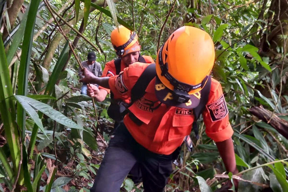 Seorang lansia hilang, diduga tersesat di hutan