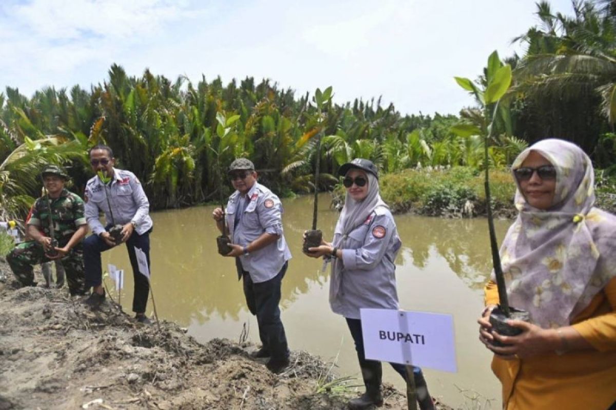 Pemkab Luwu Utara menanam 5.000 mangrove di wilayah pesisir