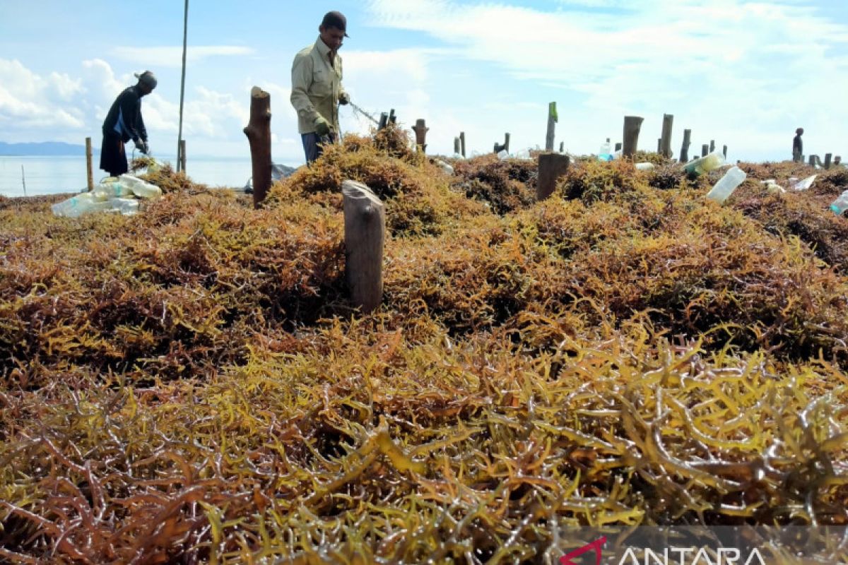 Industri pengolahan Kalimantan Utara tumbuh 5,29 persen