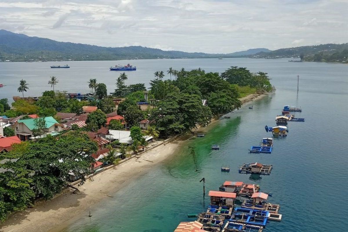 BRIN catat mangrove Teluk Ambon berkurang 10 hektare dalam dua dekade terakhir