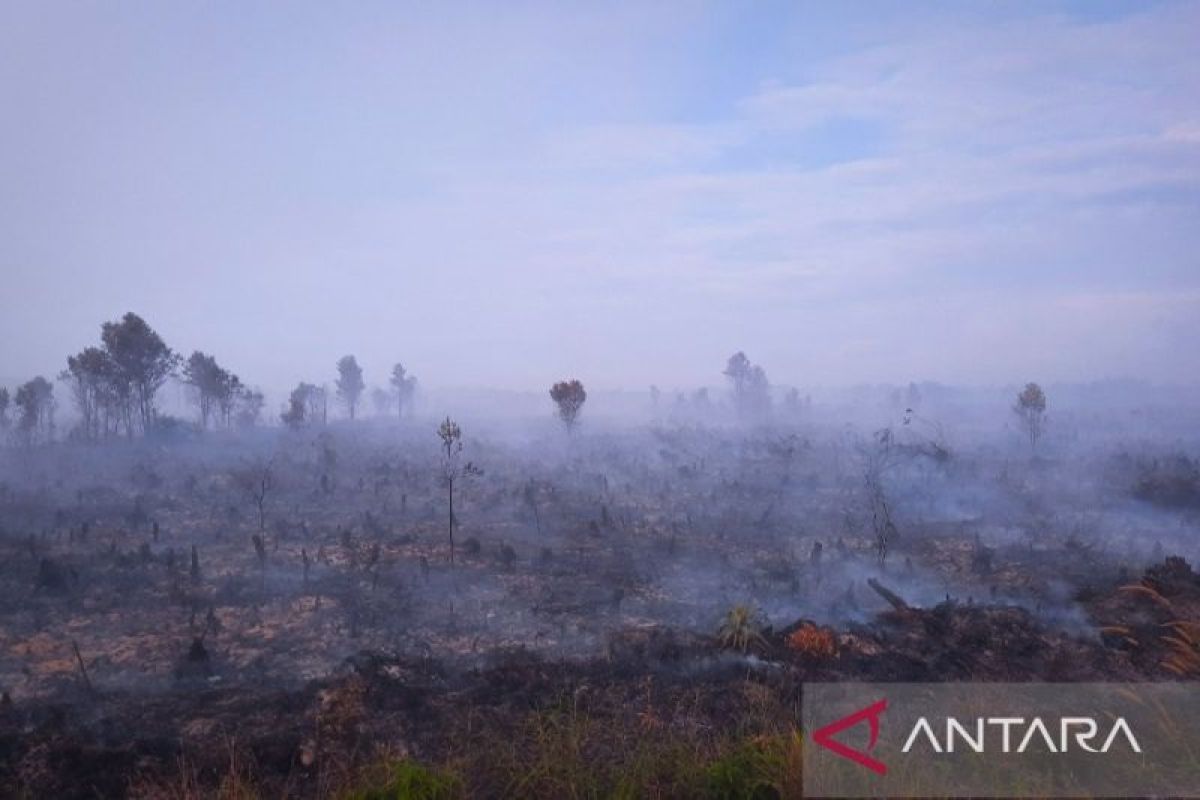 Pemprov Kepri minta warga untuk bantu cegah terjadinya kebakaran hutan