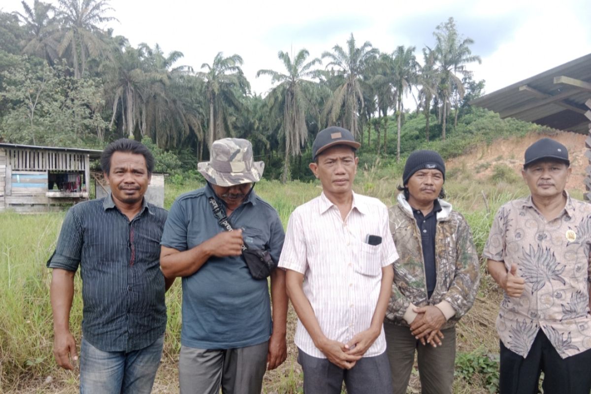 Harga pupuk selangit, petani sawit di Siak makin tertekan