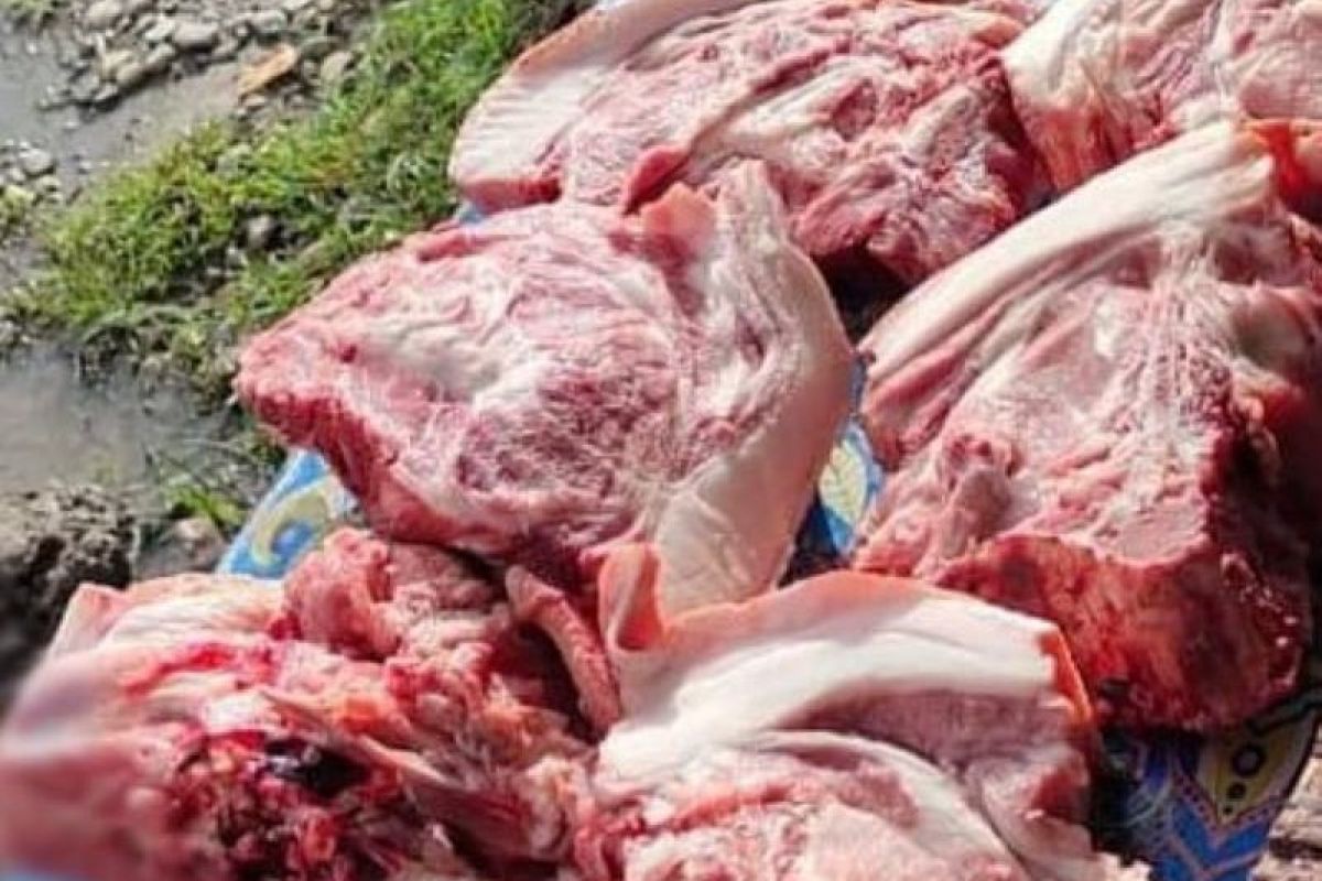 Pembelian daging babi wajib dilakukan di RPH Kota Kupang