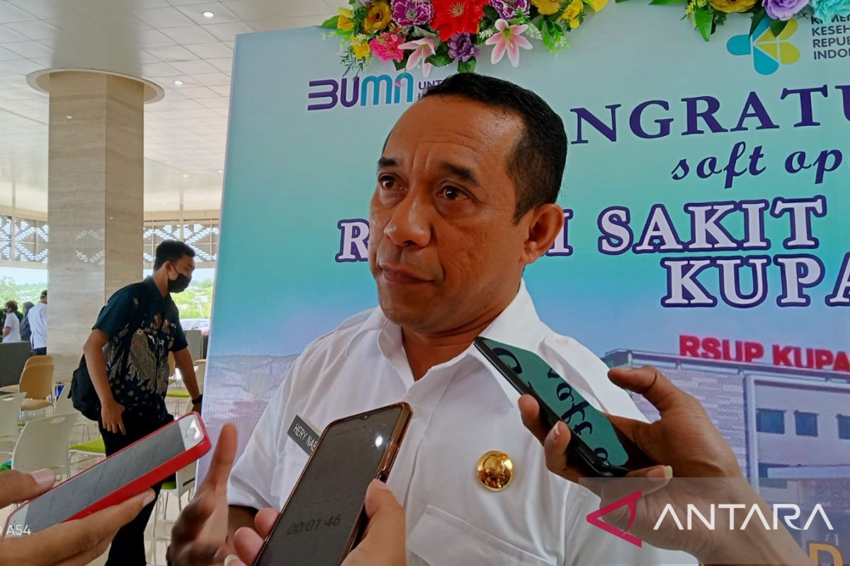 Pemkab Manggarai pantau peredaran obat sirup turun panas Praxion