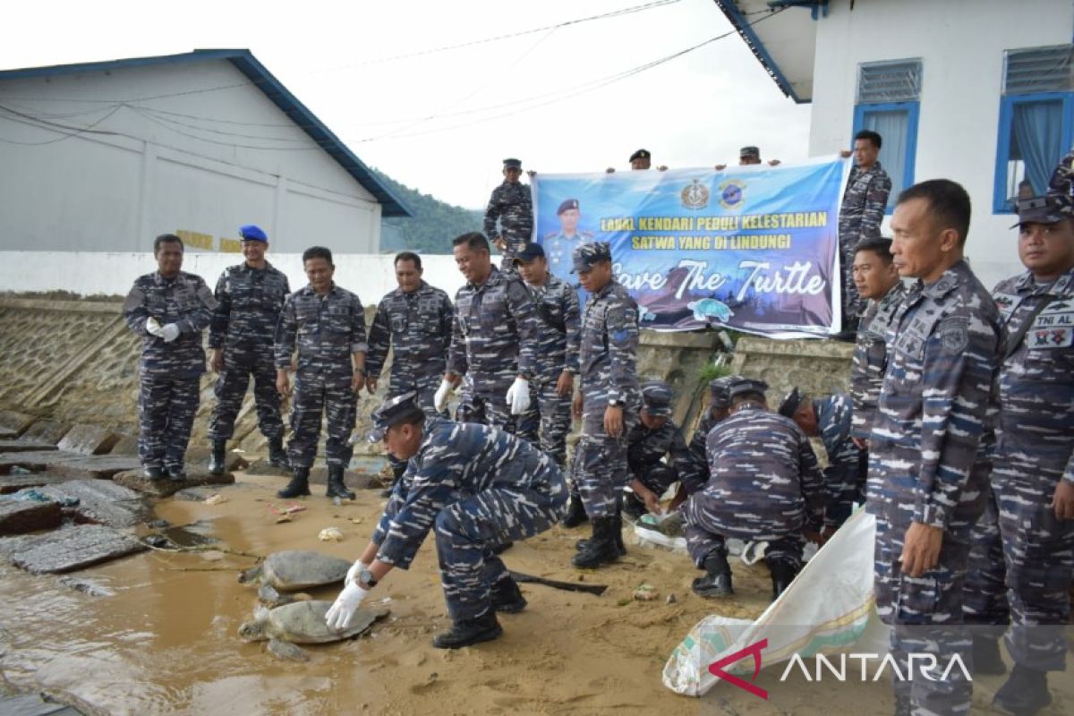 Lanal Kendari mendukung pelestarian penyu di Konawe Utara