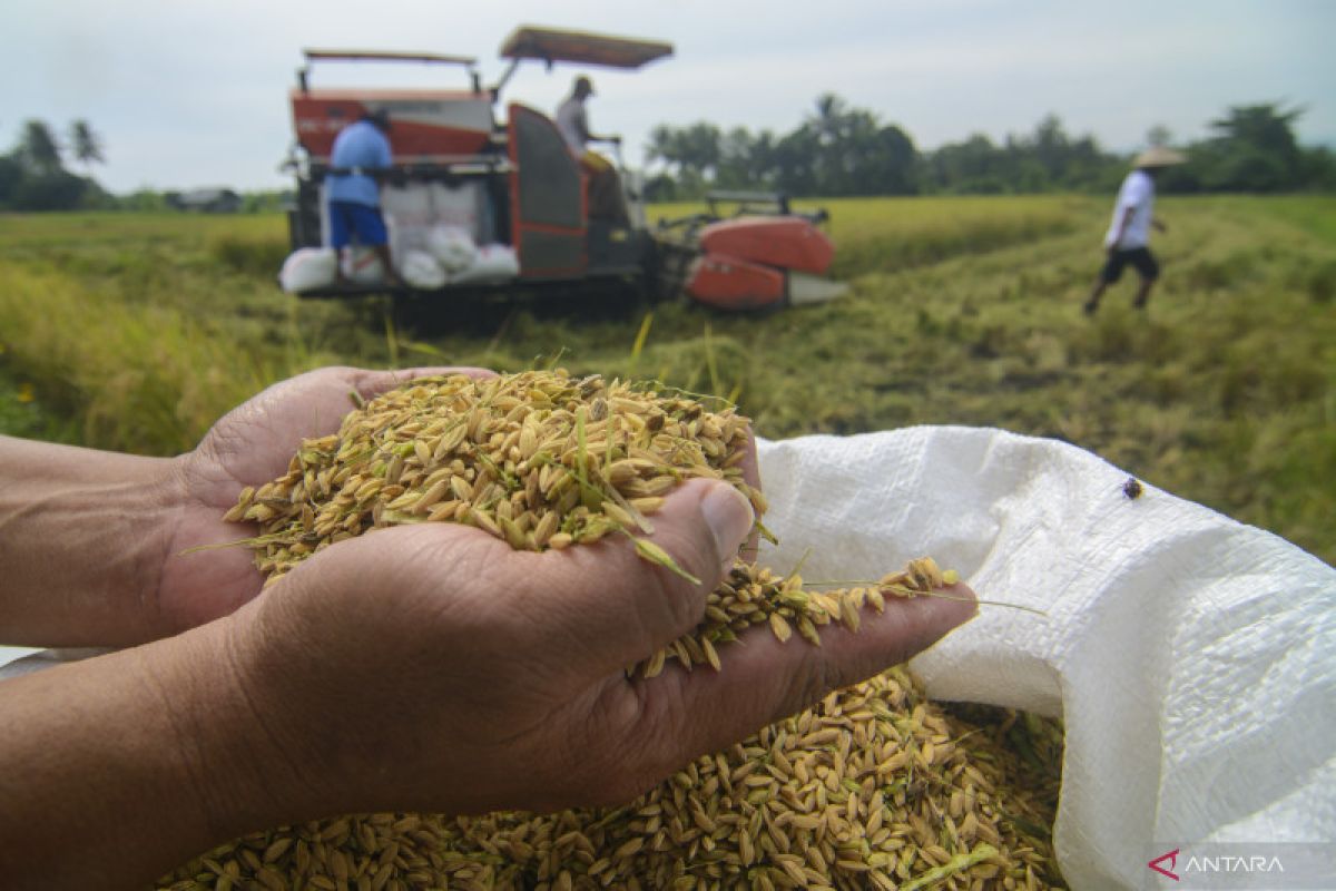 Ganjar serukan perbaikan sistem pengelolaan hasil panen