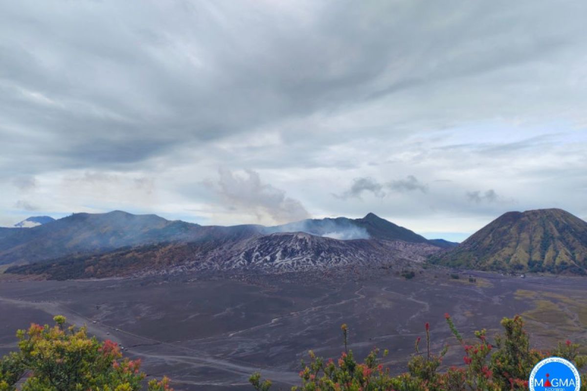 Aktivitas Gunung Bromo didominasi gempa tremor