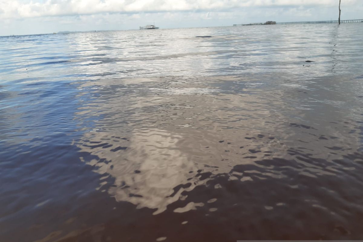 Pantai Trikora di Bintan tercemar limbah