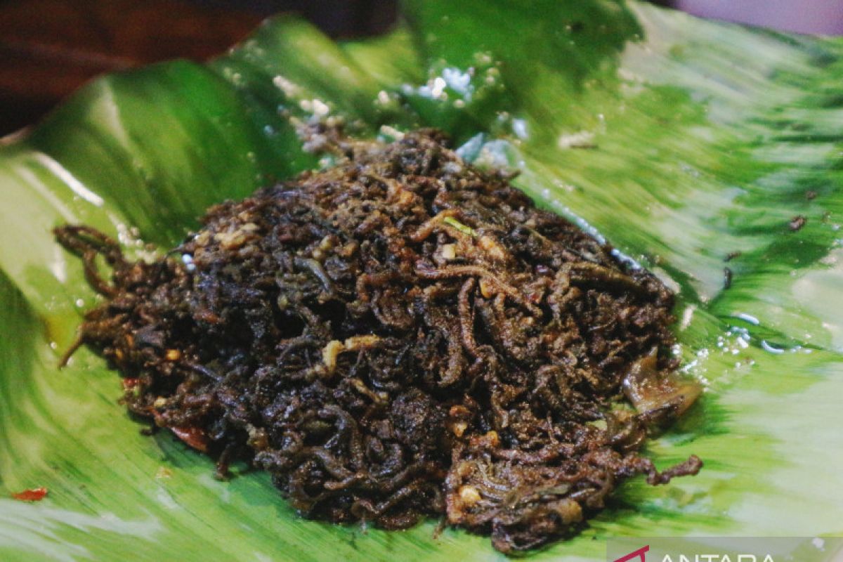 Hidangan unik khas Lombok, hanya ada sekali dalam setahun