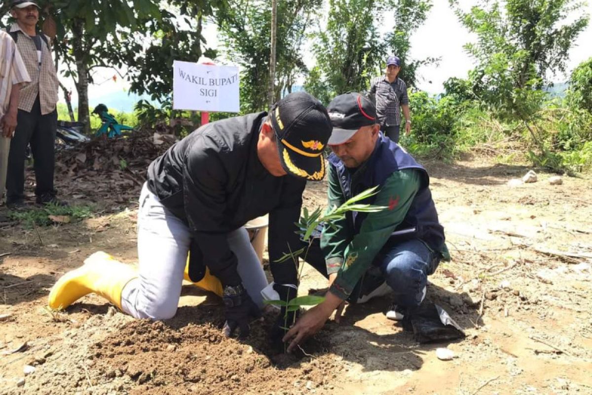 Pemkab Sigi imbau warga tanam bambu di bantaran sungai cegah banjir