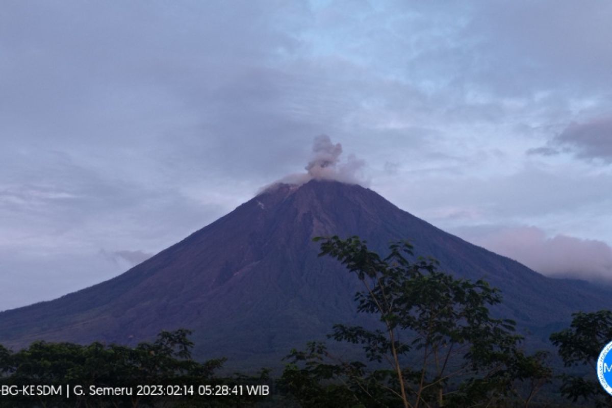 Berstatus siaga, Gunung Semeru kembali meletus dengan kolom abu setinggi 800 meter