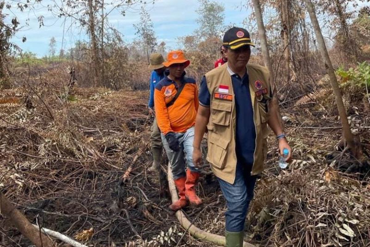 Pemkot Pekanbaru dan Pemkab Bengkalis tetapkan status siaga darurat karhutla