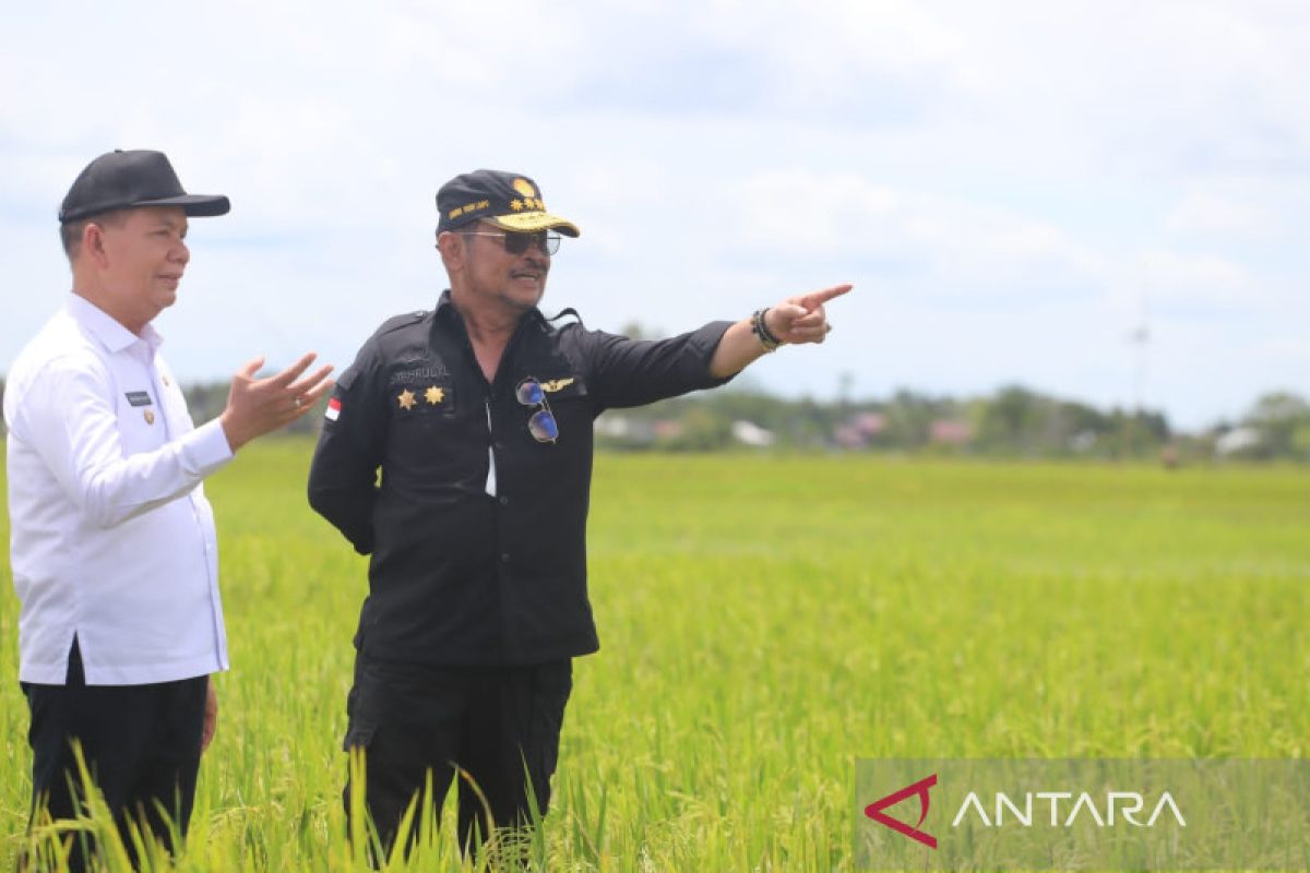 Upaya meneruskan Food Estate berkelanjutan di Kalteng