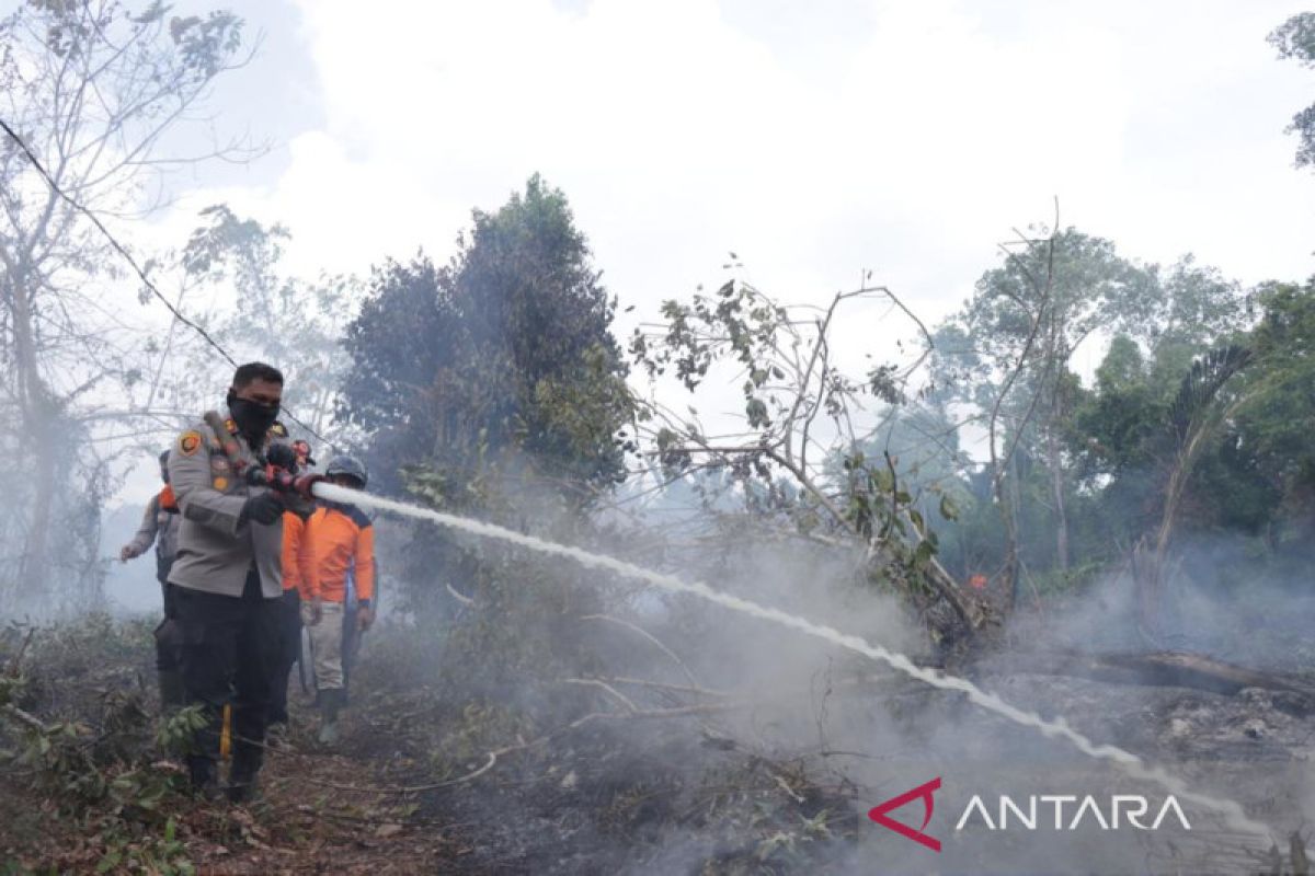 Musim kemarau diperkirakan tiba, Meranti akan tetapkan status siaga karhutla